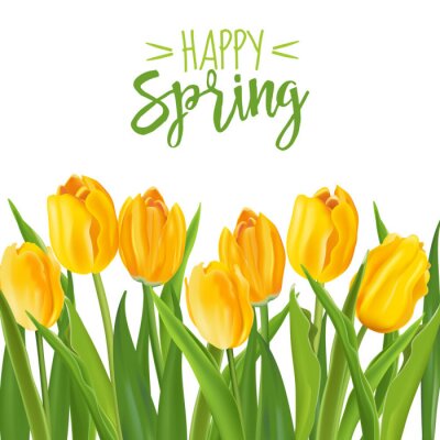 Sticker Gelbe Tulpen im Frühling