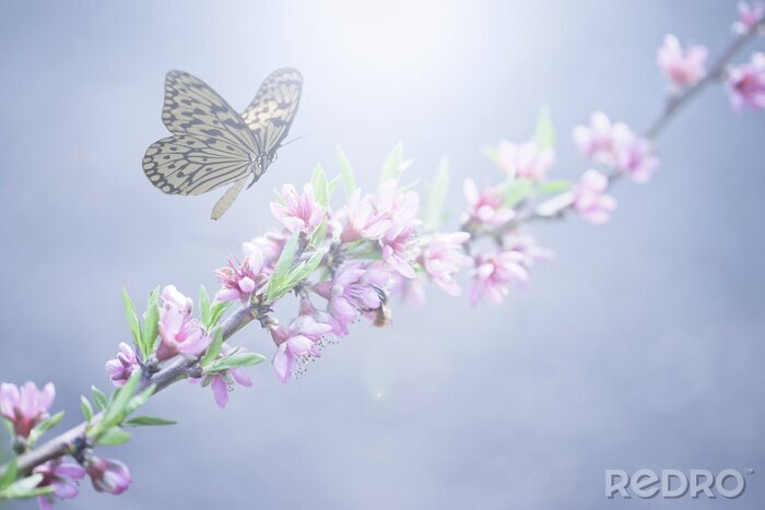 Sticker Gelber Schmetterling inmitten von Blumen