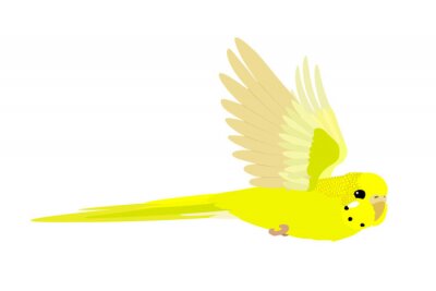 Gelber Vogel auf einem leeren Hintergrund