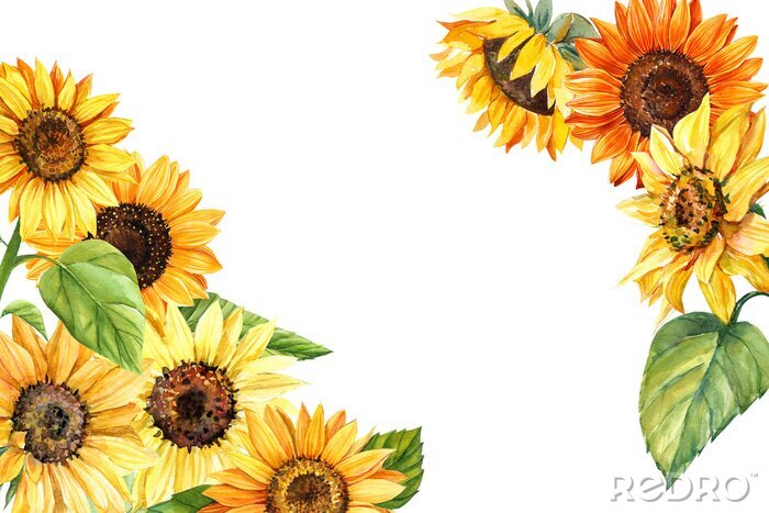 Sticker Gemalte Illustration mit Sonnenblumen