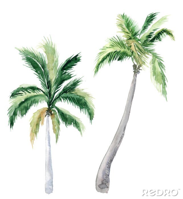 Sticker Gemalte tropische Palmen