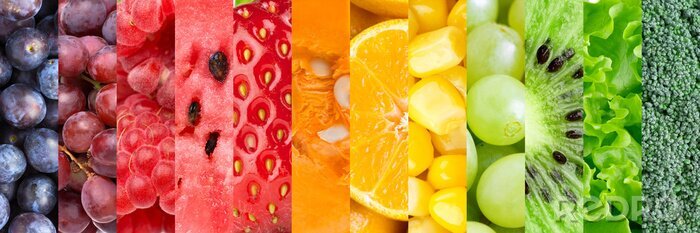 Sticker Gemüse-Rechtecke