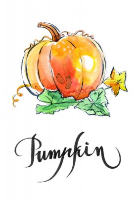 Sticker Gemüse signierter Kürbis mit Farben gemalt