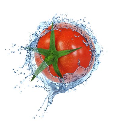 Gemüse Tomate im Wasser