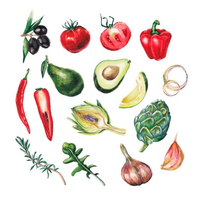 Sticker Gemüse und Kräuter in bunter Grafik