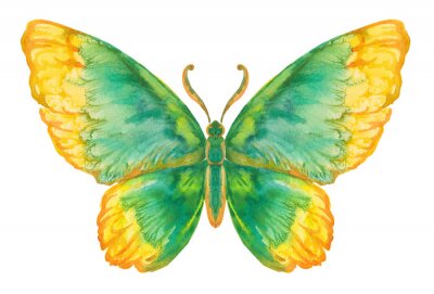 gesättigtes Muster Schmetterling
