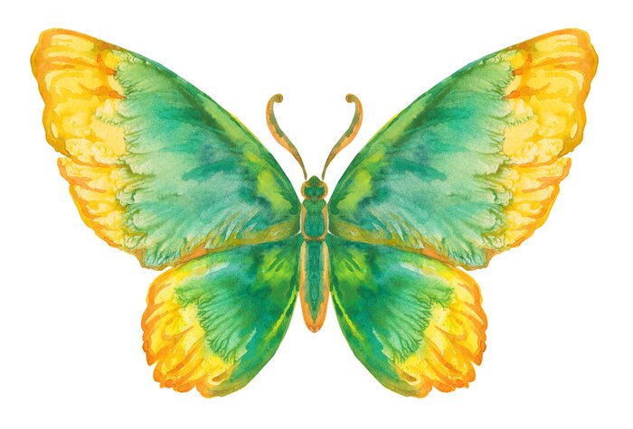 Sticker gesättigtes Muster Schmetterling