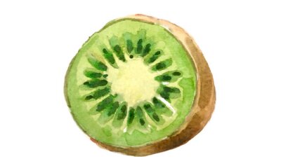 Sticker Geschnittene Kiwi Illustration im Aquarellstil