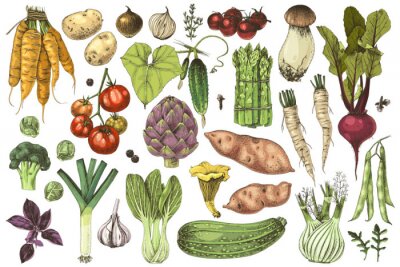 Sticker Gesundes Essen Gemüse und Pilze