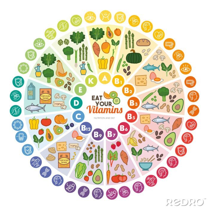Sticker Gesundes Essen Infografik Vitamine in Produkten
