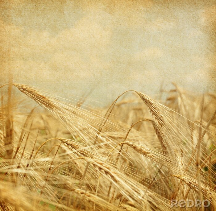 Sticker Getreideähren Retro-Ästhetik