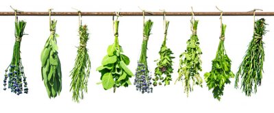 Fototapete Getrocknete Kräutersträuße