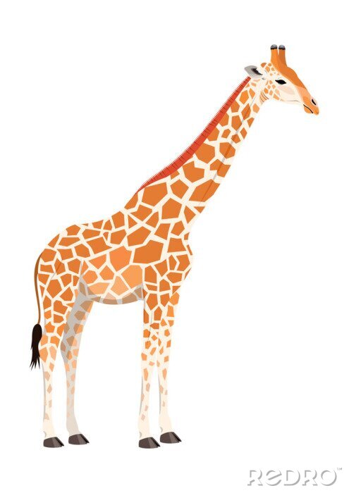 Sticker Giraffe auf leerem Hintergrund
