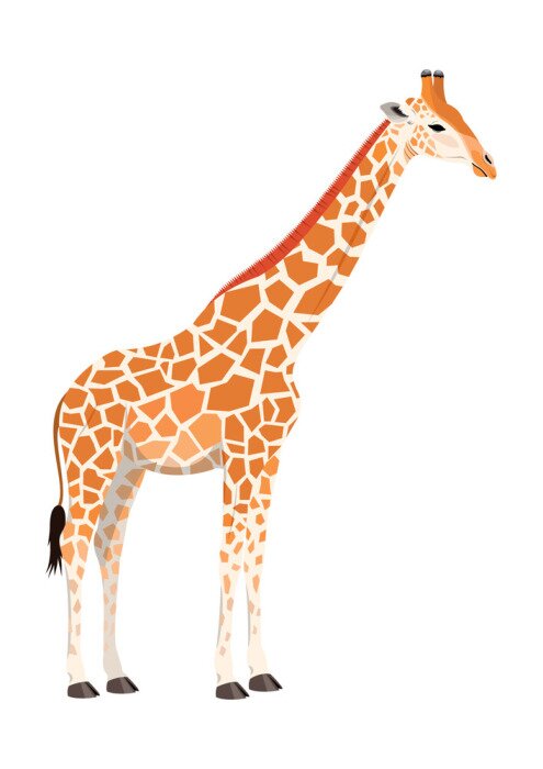 Sticker Giraffe auf leerem Hintergrund