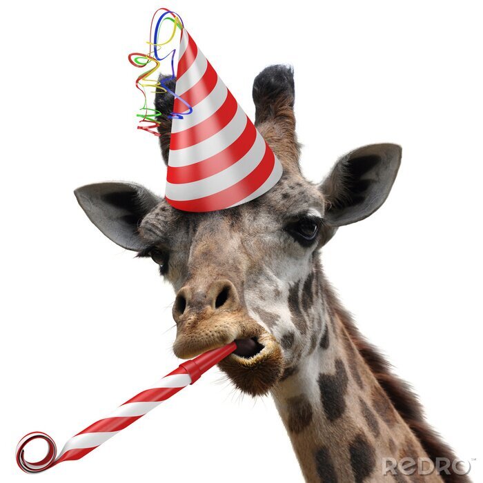 Sticker Giraffe mit Geburtstagshut