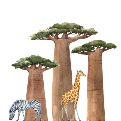 Giraffe und afrikanische Bäume