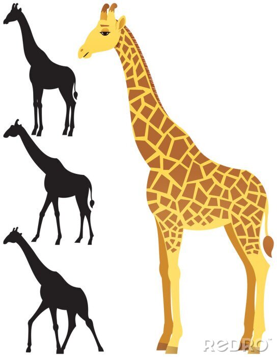 Sticker Giraffe und drei Schatten