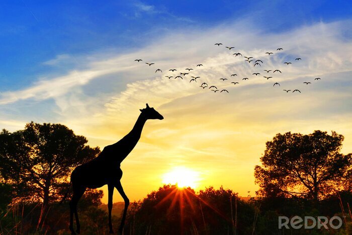 Sticker Giraffe und Zug der Vögel