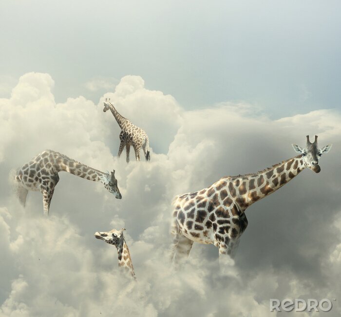 Sticker Giraffen in den Wolken Surrealismus