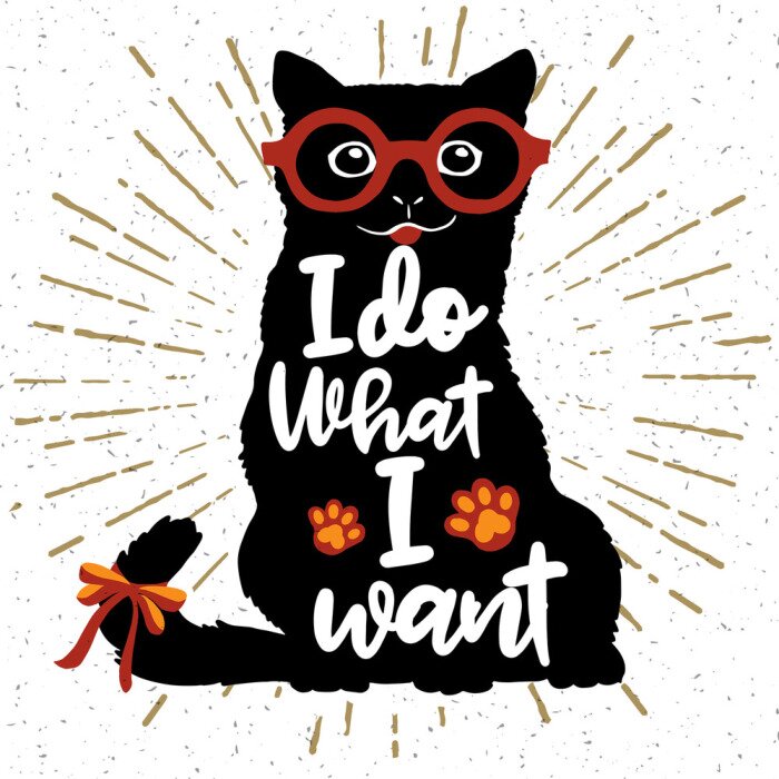 Sticker Grafik Katze mit Aufschrift