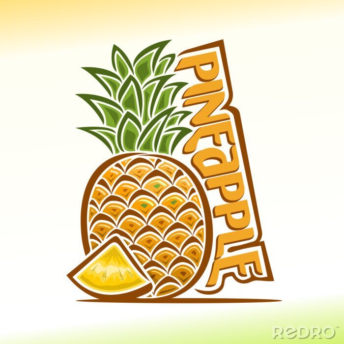 Sticker Grafik mit Ananas und Aufschrift in Orange