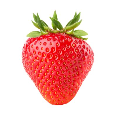 Sticker Grafik mit einer prächtigen Erdbeere