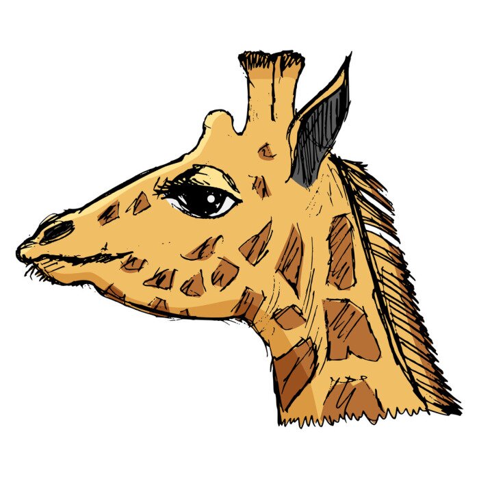 Sticker Grafik mit Porträt einer Giraffe
