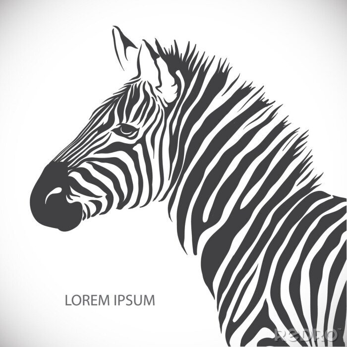 Sticker Grafik mit Porträt eines Zebras