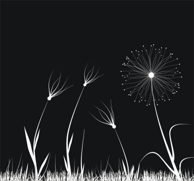 Sticker Grafik mit weißen Blumen auf schwarzem Hintergrund