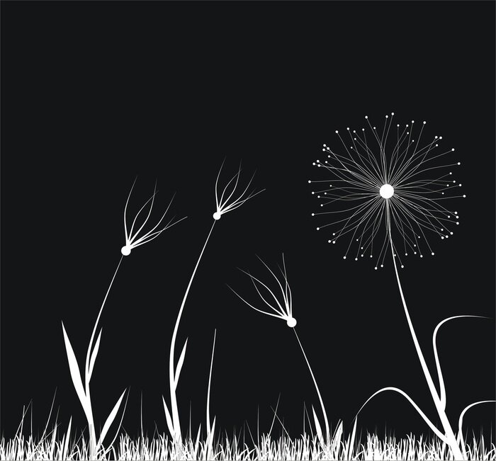 Sticker Grafik mit weißen Blumen auf schwarzem Hintergrund