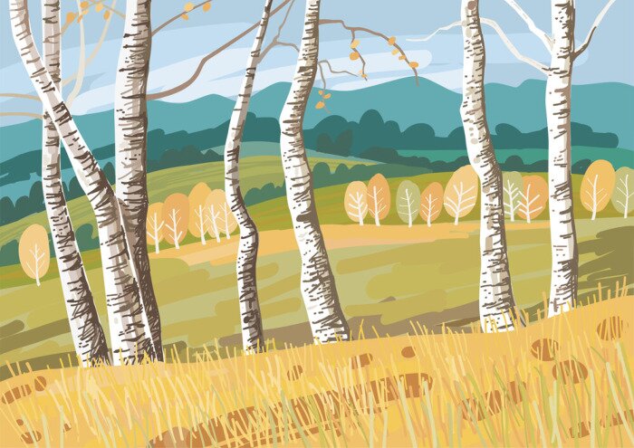 Sticker Grafische Birken am Feld