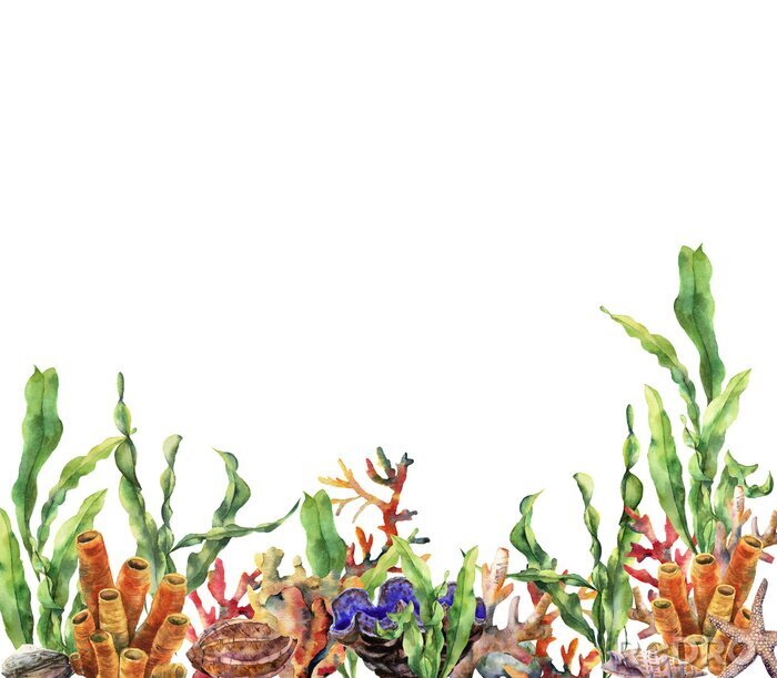 Sticker Grafische Pflanzen aus Ozeanboden