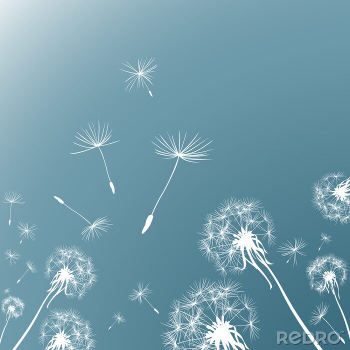 Sticker Grafische weiße Pusteblumen und Himmel