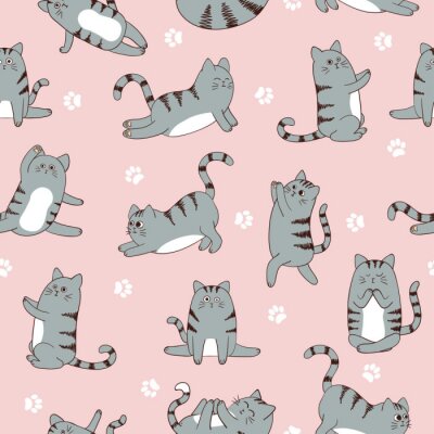 Graue Katzen auf rosa Hintergrund