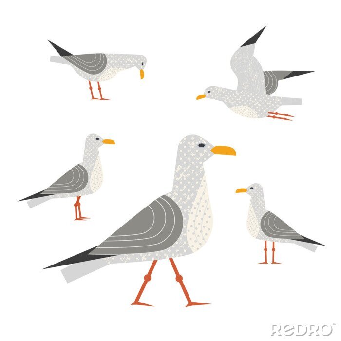 Sticker Graue Vögel auf weißem Hintergrund