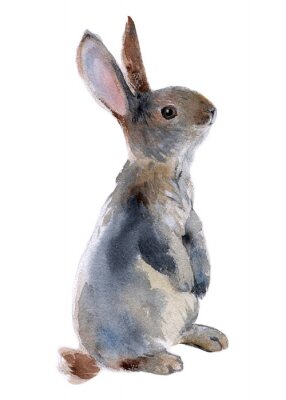 Sticker Grauer Kaninchen  wie gemalt auf weißem Hintergrund