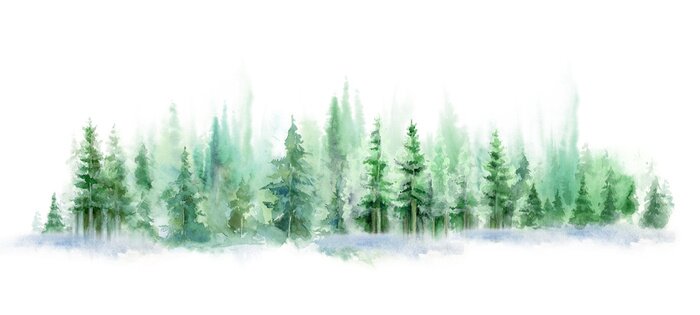 Sticker Green landscape of foggy forest, winter hill. Wild nature, frozen, misty, taiga. watercolor background