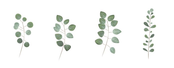 Sticker Green leaves in the style of watercolor