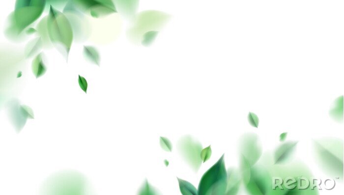 Sticker Green nature leaves on white background vector isolated elements design