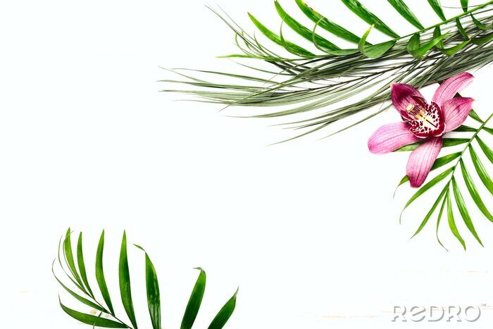 Sticker Greeting card template with exotic foliage