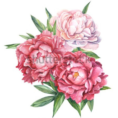 Sticker Große Blüten mit drei Knospen