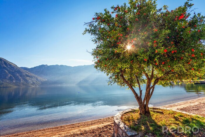 Sticker Großer Baum mit Bergen im Hintergrund