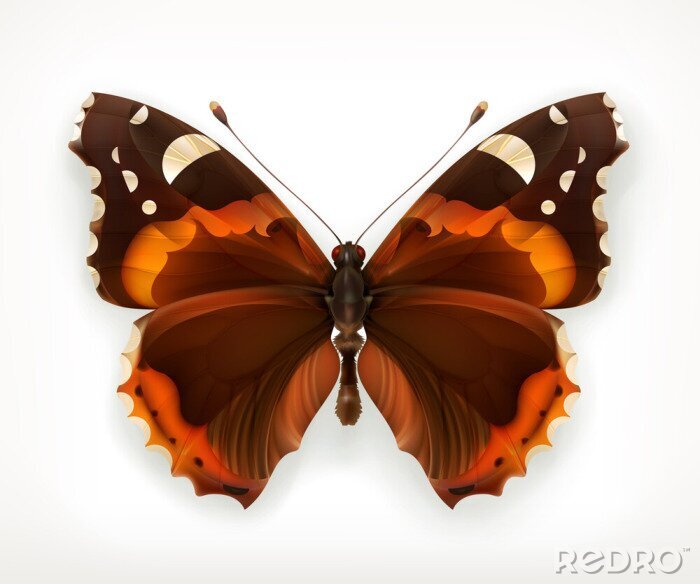 Sticker Großer brauner Schmetterling