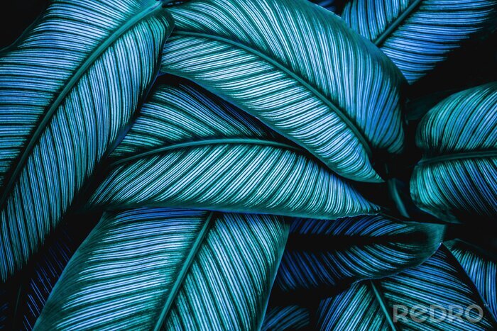 Sticker Grün-blaue Blätter