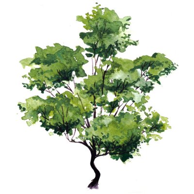 Sticker Grüne Blätter am Baum