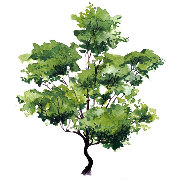 Sticker Grüne Blätter am Baum