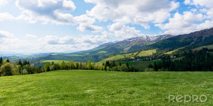 Sticker Grüne Wiese am Morgen