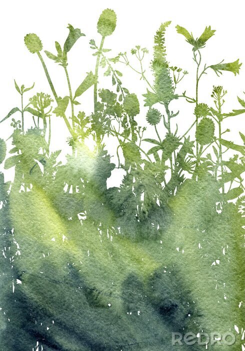 Sticker Grüne Wiesen Aquarell