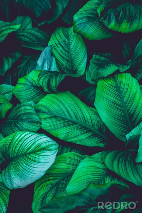 Sticker Grüner Hintergrund Pflanzen