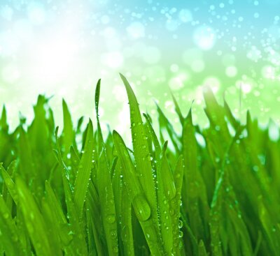 Sticker grünes Gras